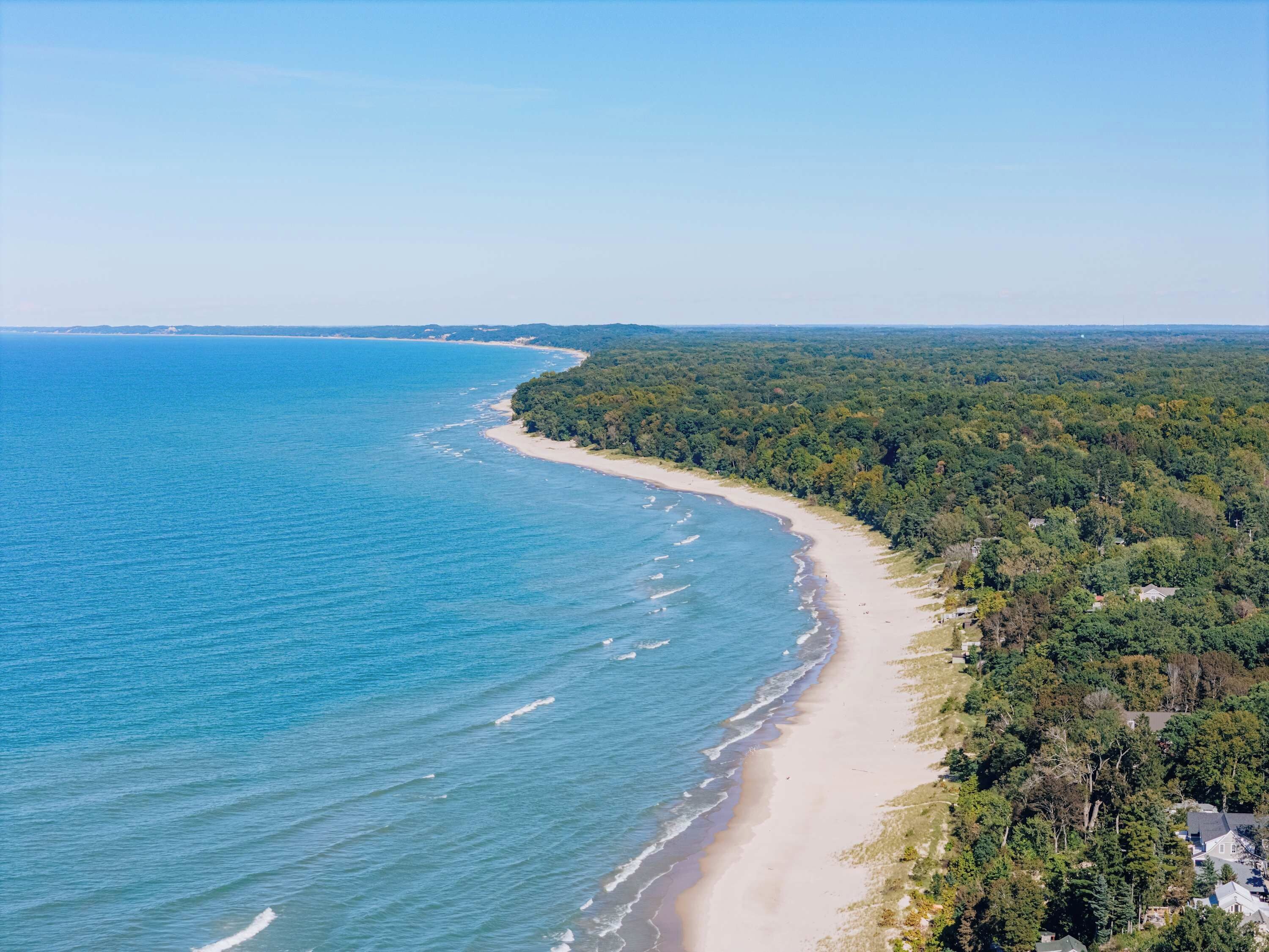 A coastal landscape with a sandy beach and dense forest.