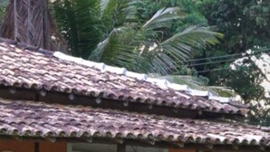 A house with a tiled roof, a porch with a hammock, and a small garden.