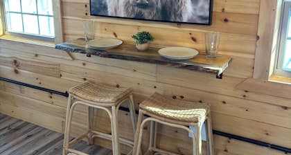 Cabin with big fenced yard-firepit-walking distance to Sacandaga lake- pets ok