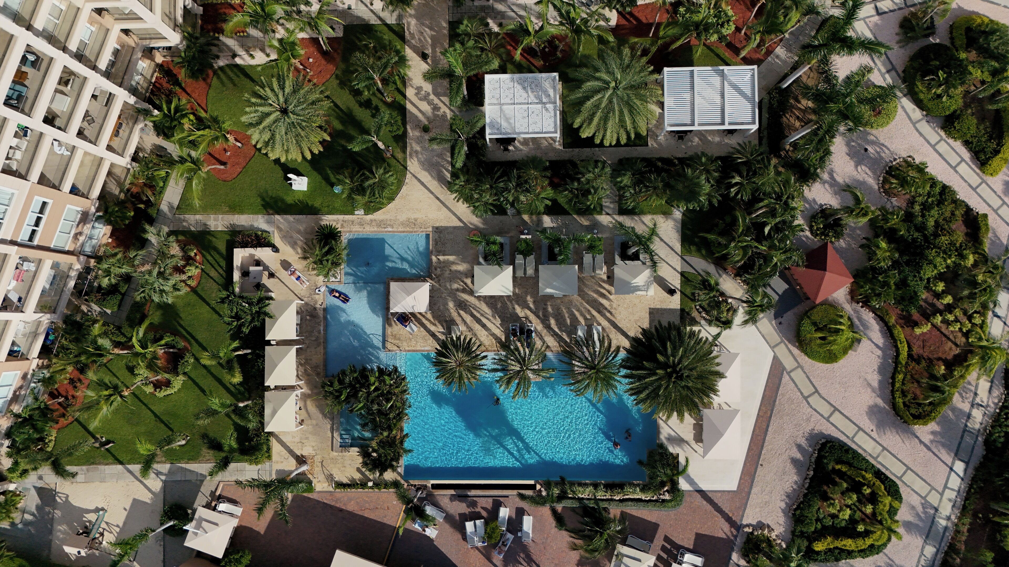 Vista aérea de un complejo turístico con piscina central, rodeado de palmeras y zonas de descanso.
