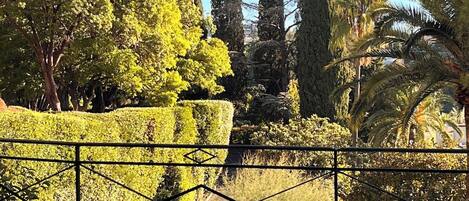 Overnattingsstedets uteområder