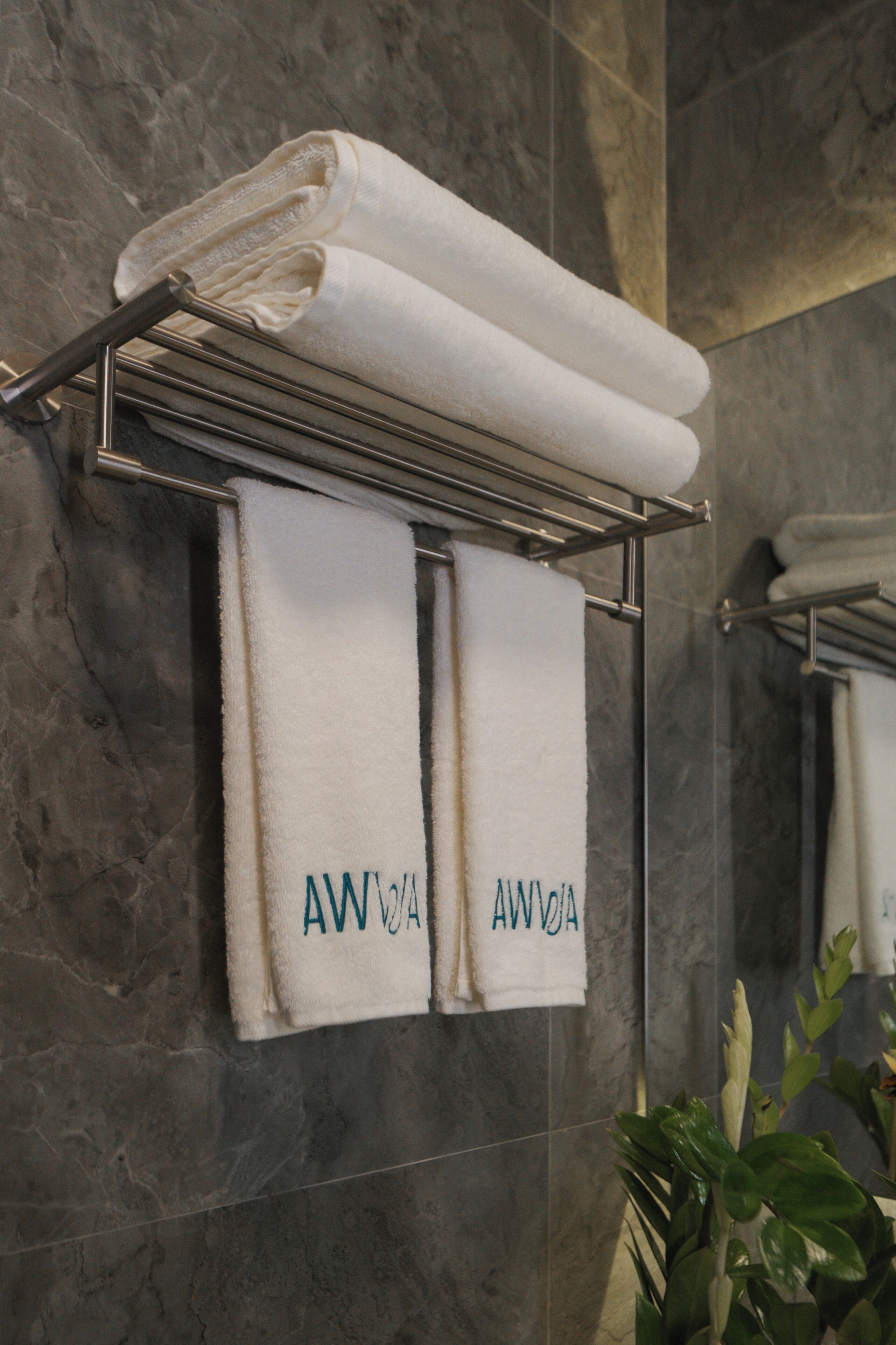 Une salle de bain avec un porte-serviettes sur lequel sont posées deux serviettes et une plante en pot.