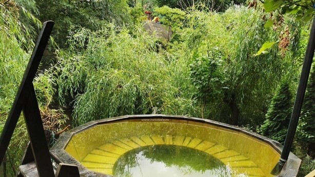 Un bain à remous hexagonal en bois, entouré d’une végétation luxuriante.
