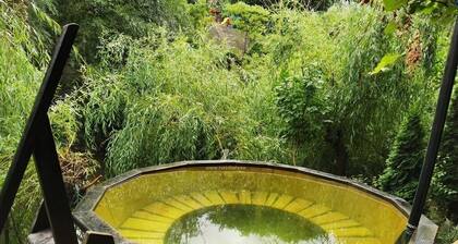 Pensiunea Argus | Băile Herculane Accommodation