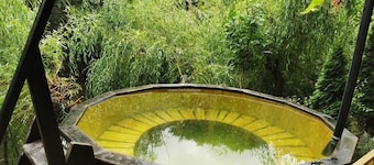 Pensiunea Argus | Băile Herculane Accommodation