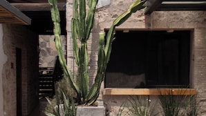 A courtyard with large cacti and planters, stone walls, and a hexagonal tiled floor. - Hotel C. Andreu  (San Miguel de Allende)
