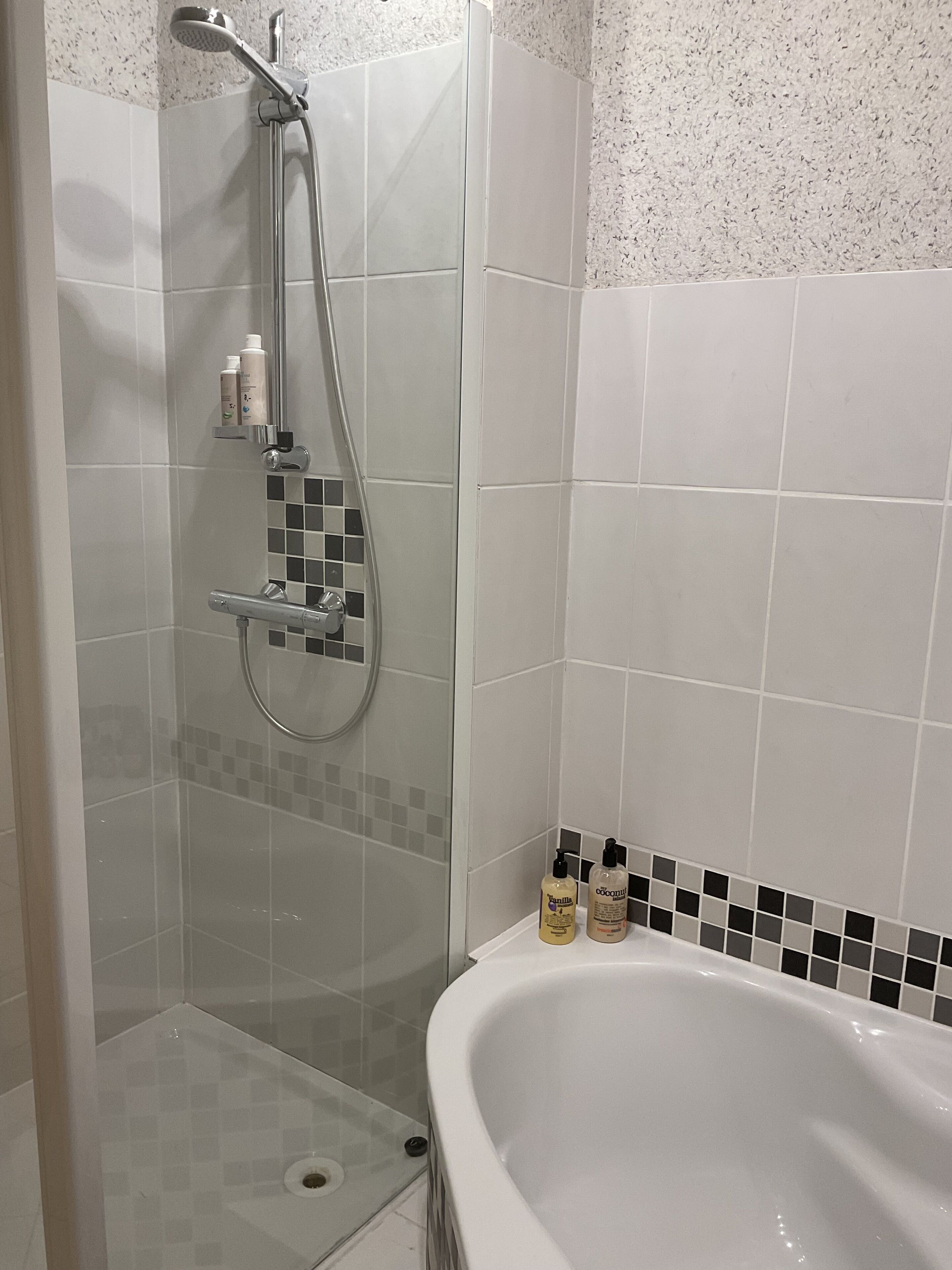 Hair dryer, towels, soap, toilet paper