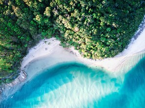 An aerial view of a beach with clear turquoise waters and dense green forest. - Burleigh Beach Escape • 30m to Sand • Newly Refurbished (Burleigh Heads)