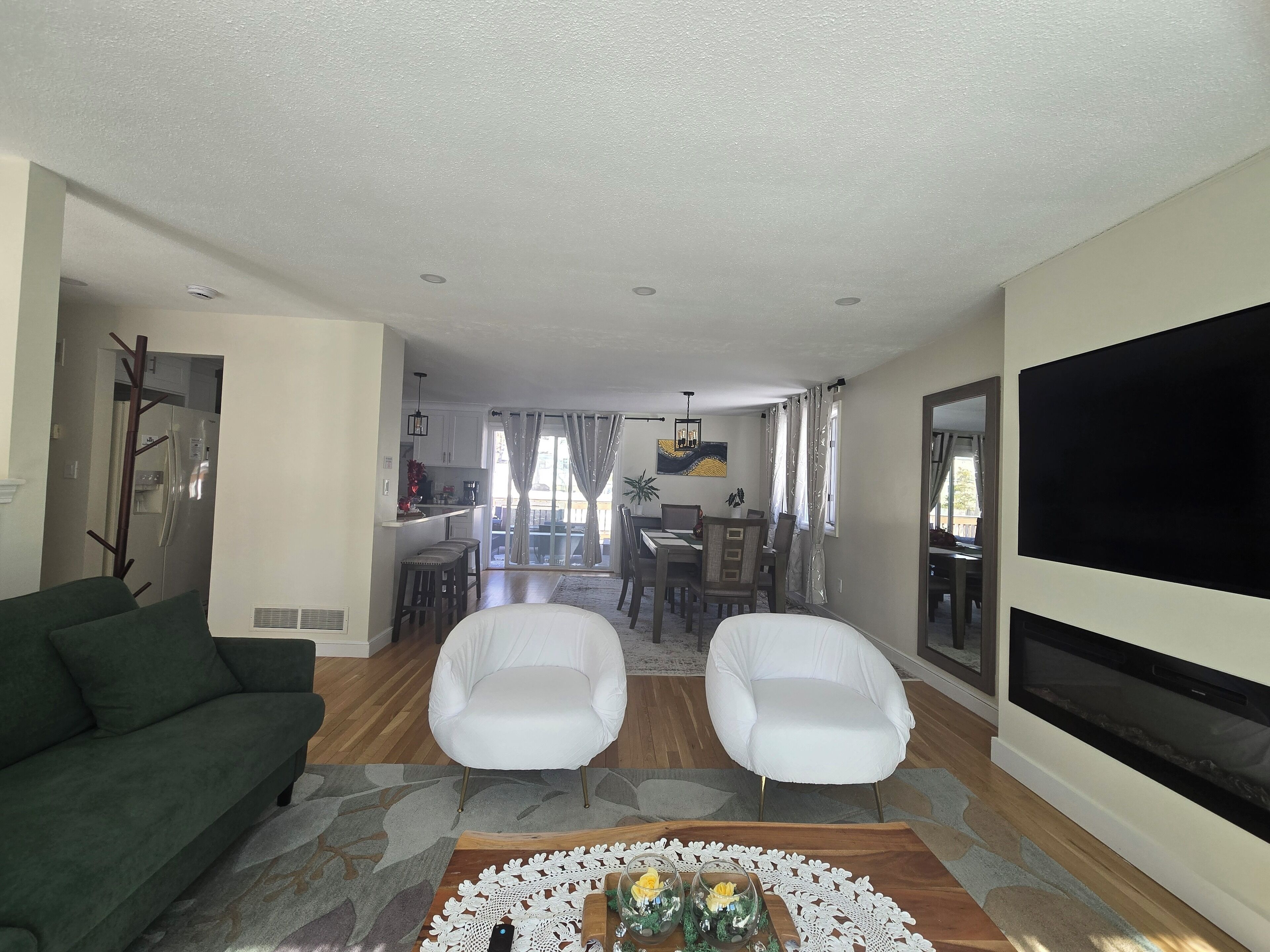 Smart TV, fireplace, books
