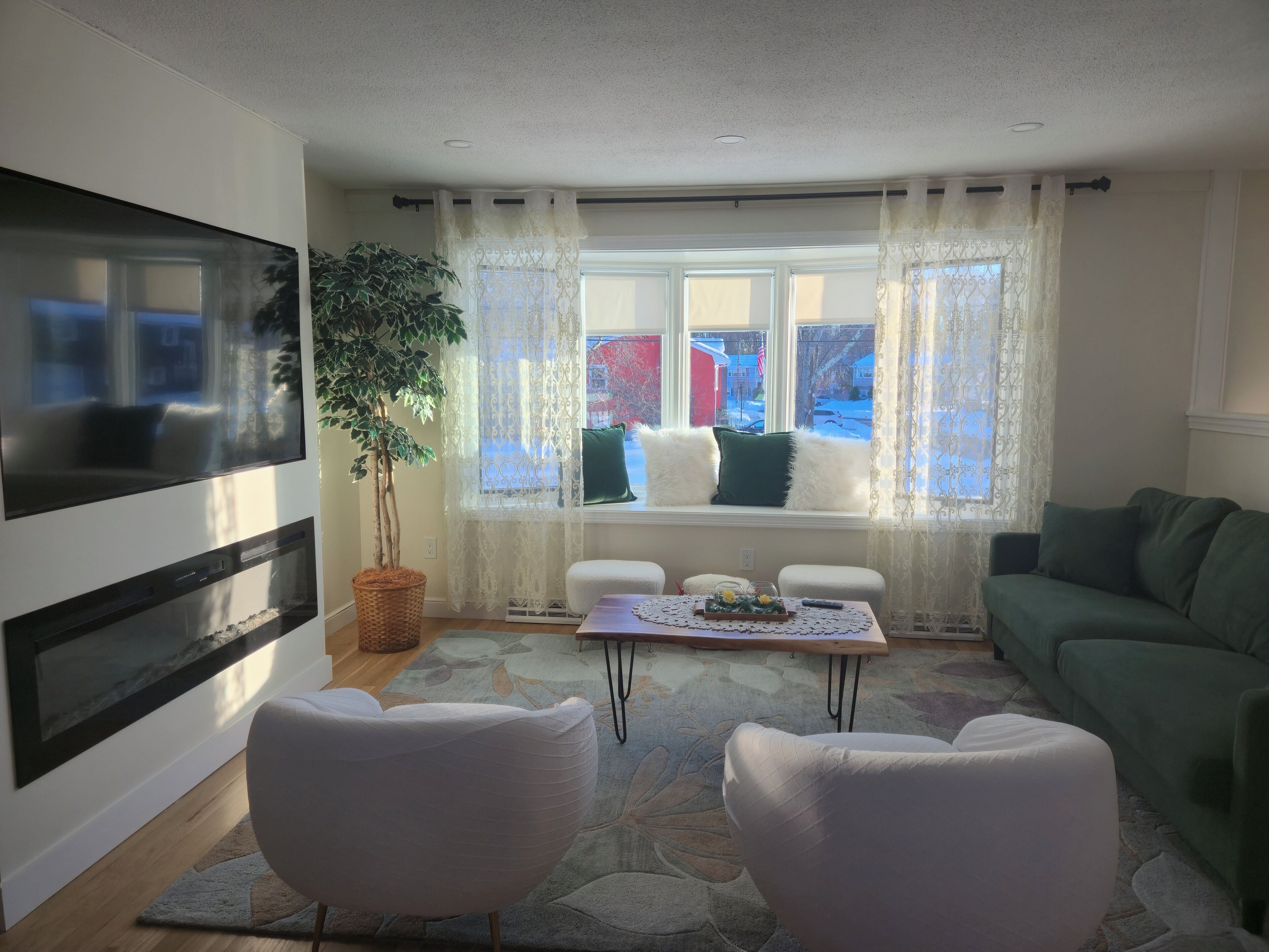 Smart TV, fireplace, books