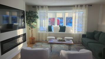 Smart TV, fireplace, books