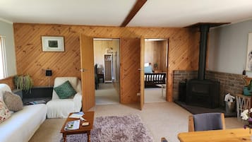 Smart TV, fireplace, books