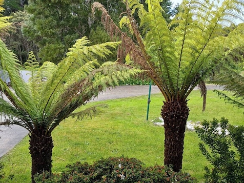 Snug Stays After Wild Days