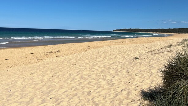A sandy beach with gentle waves, a clear blue sky, and a distant forested area.