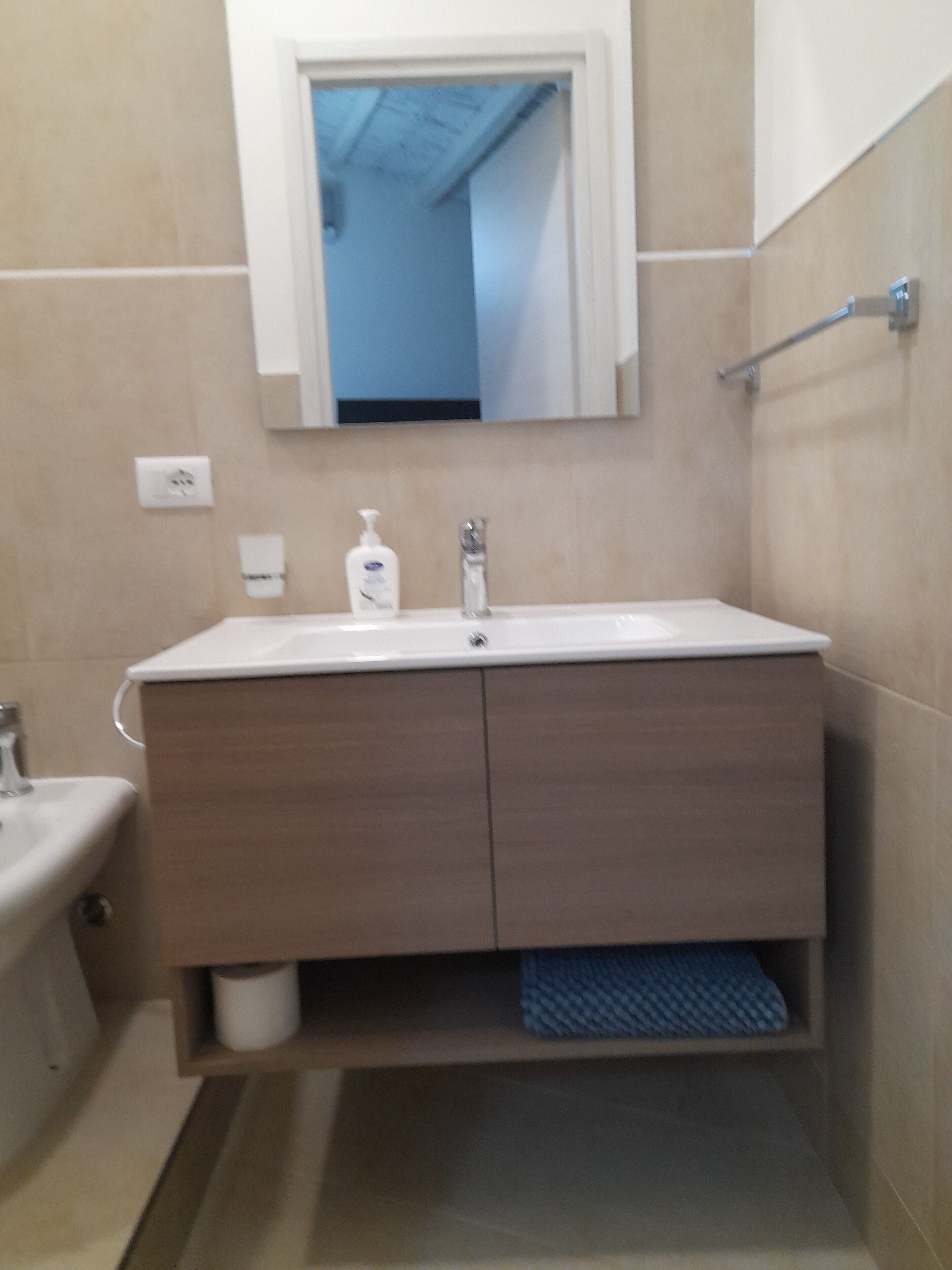 Dusche, Haartrockner, Bidet, Handtücher