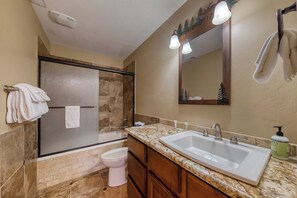 Une salle de bain avec un grand lavabo, des toilettes et un espace douche.