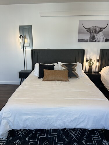 Newly remodeled double queen modern apartment