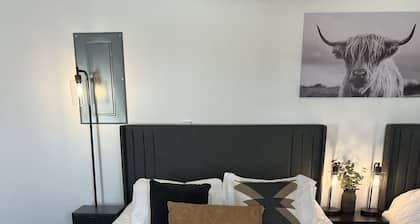 Newly remodeled double queen modern apartment