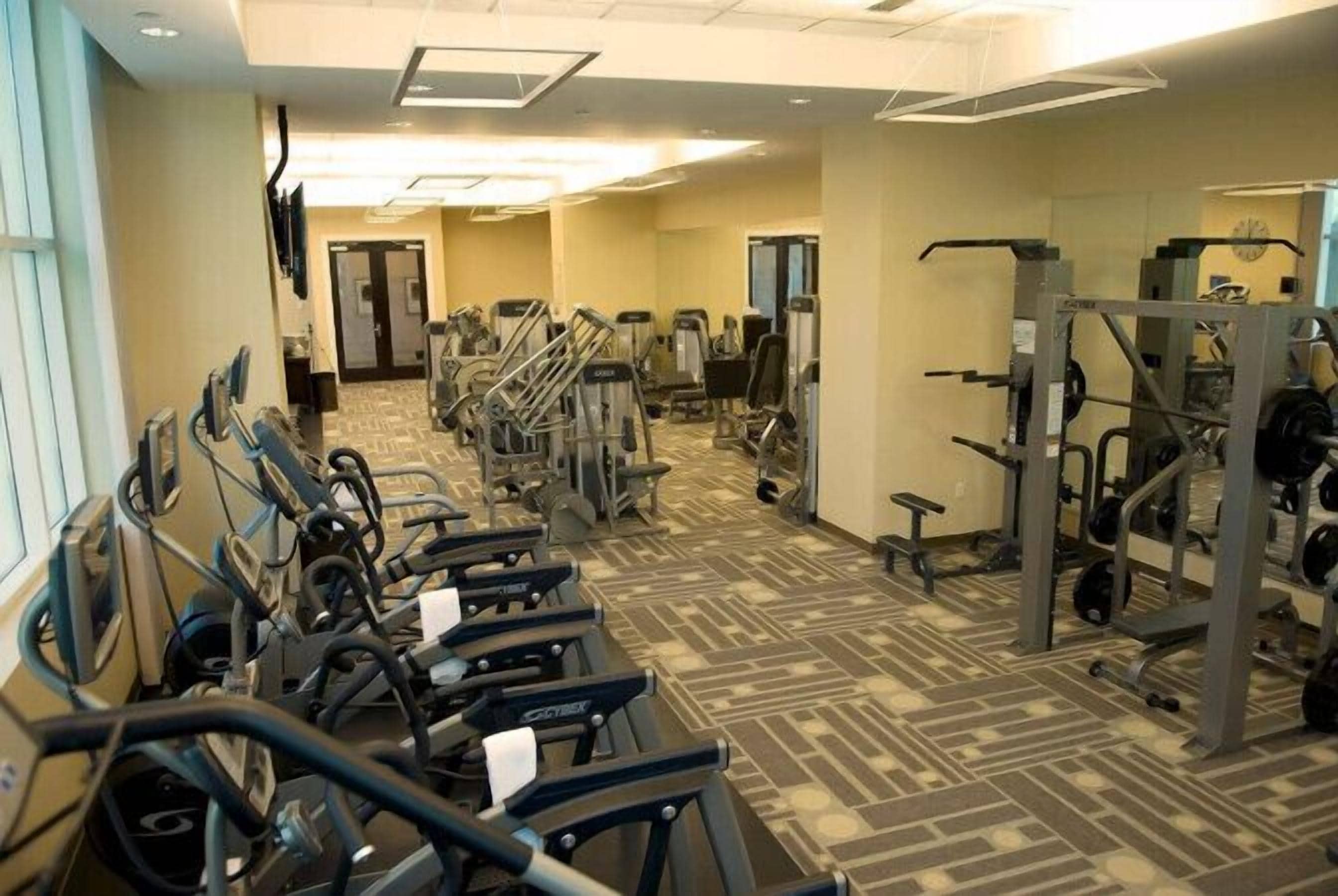 A gym with treadmills, weight machines, and a mirrored wall.