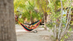 A hammock tied between trees in a sandy area with a bicycle nearby. - La Aldea Cabañas y Glamping (Isla Holbox)