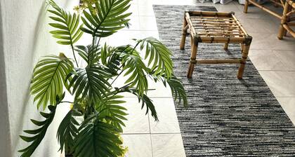 Apartment in downtown Ribeirão Preto