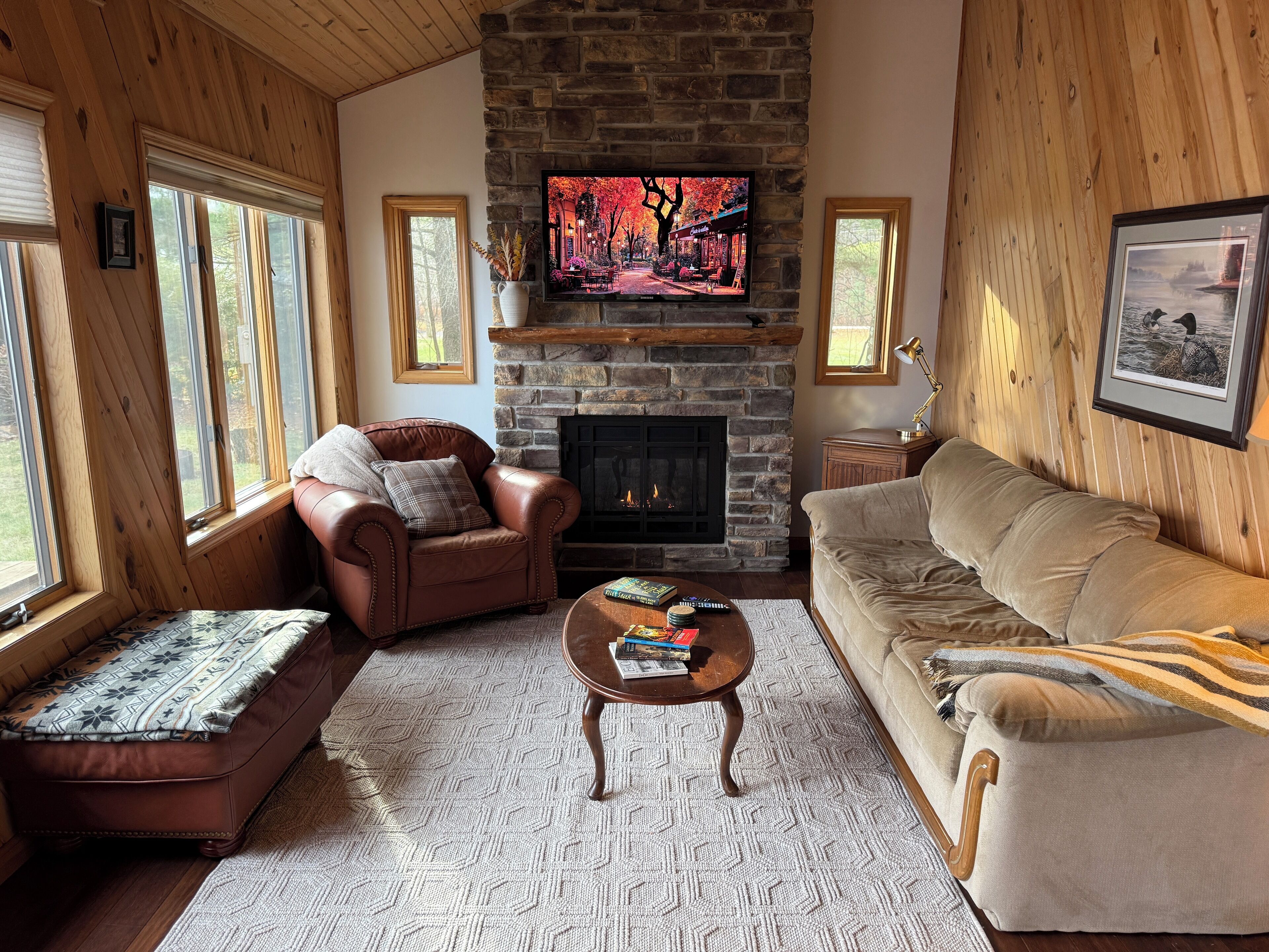 智能电视、壁炉、书