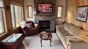 智能电视、壁炉、书