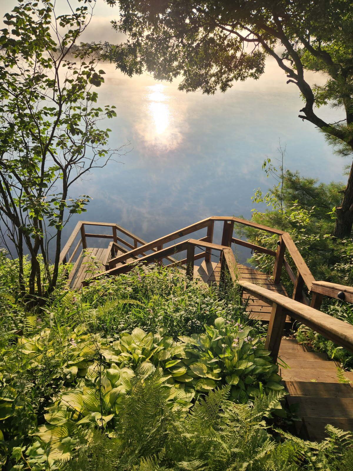 A wooden staircase leading to a higher elevation, surrounded by lush greenery and overlooking a body of water.