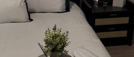 Iron/ironing board, WiFi, bed sheets