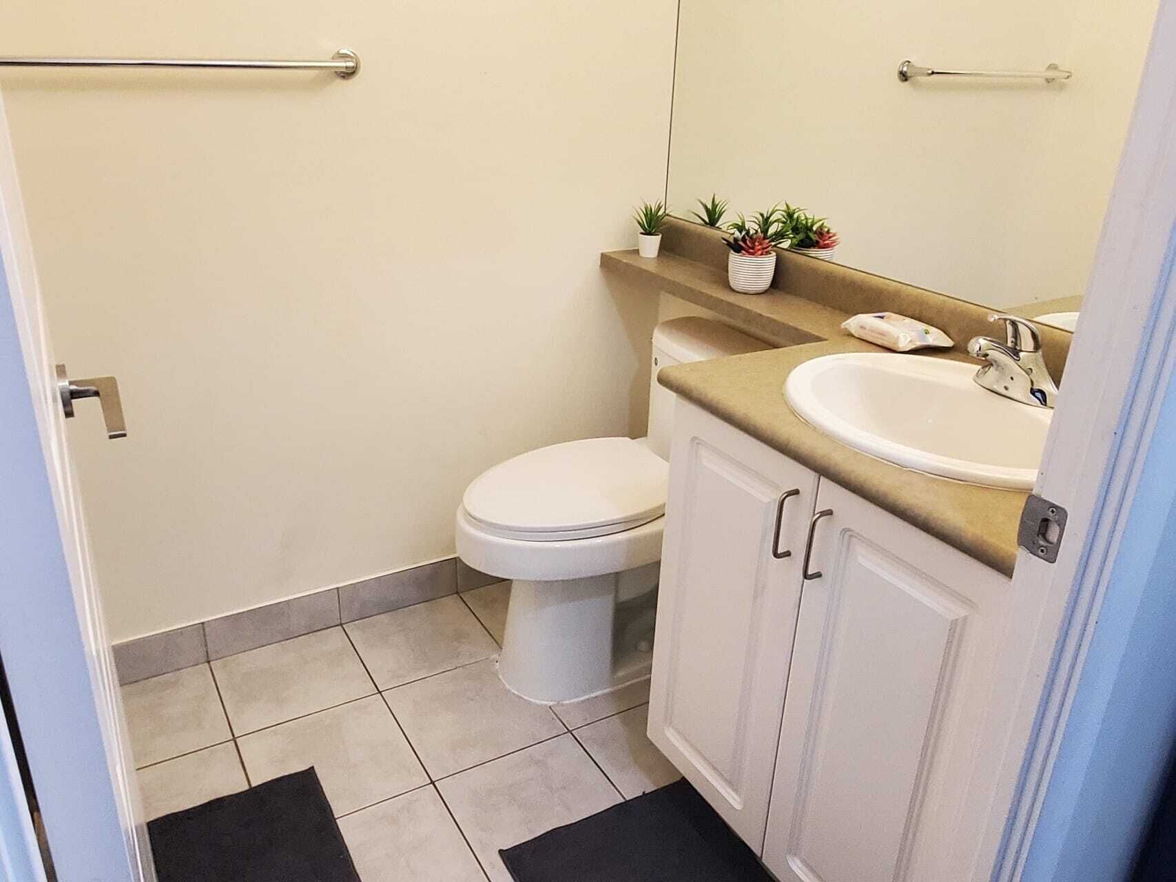 A small bathroom with a toilet, sink, and cabinet. There are two small potted plants on the sink counter.