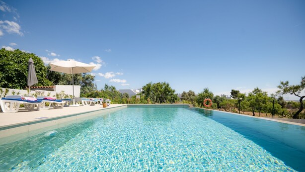 Ein klares Schwimmbecken mit Liegestühlen und Sonnenschirmen, umgeben von Bäumen und blauem Himmel.
