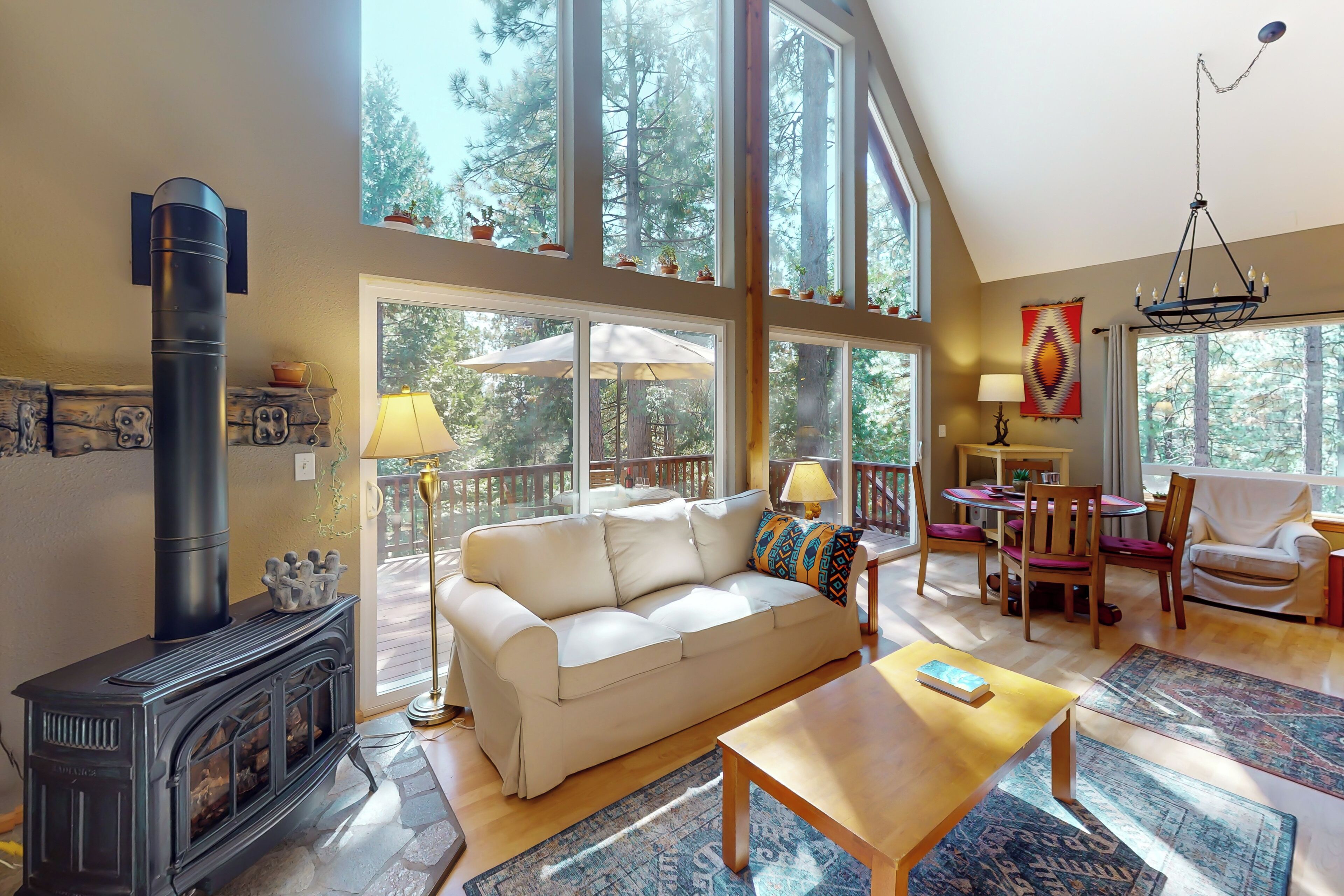 TV, fireplace, books