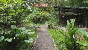 Un vialetto sterrato che conduce a un cartello con la scritta 'WELCOME' circondato da vegetazione lussureggiante.