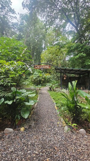 Property grounds - Jungle house in Caribbean rainforest (Puerto Viejo de Talamanca)