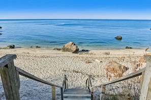A wooden staircase leading to a sandy beach with clear blue water and rocks. - Steps to Beach + Sunset Views! East Marion Home (East Marion)