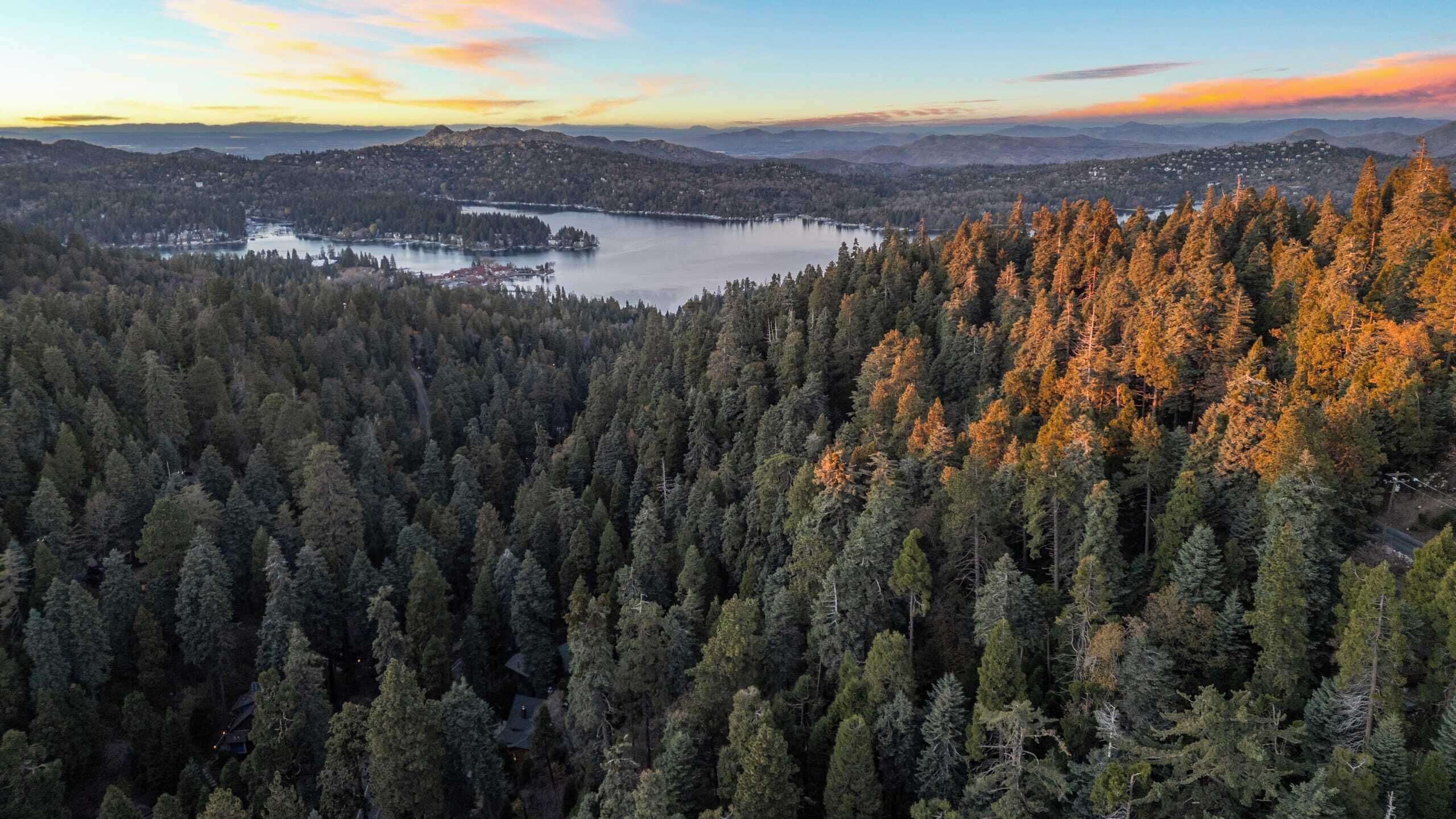 A dense forest with a lake and distant hills.