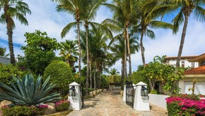 A pathway leading to a gated entrance surrounded by palm trees and lush greenery. - Casa Primera: 6BR Ocean-View Villa, Palmilla Dunes Club Access (San Jose del Cabo)