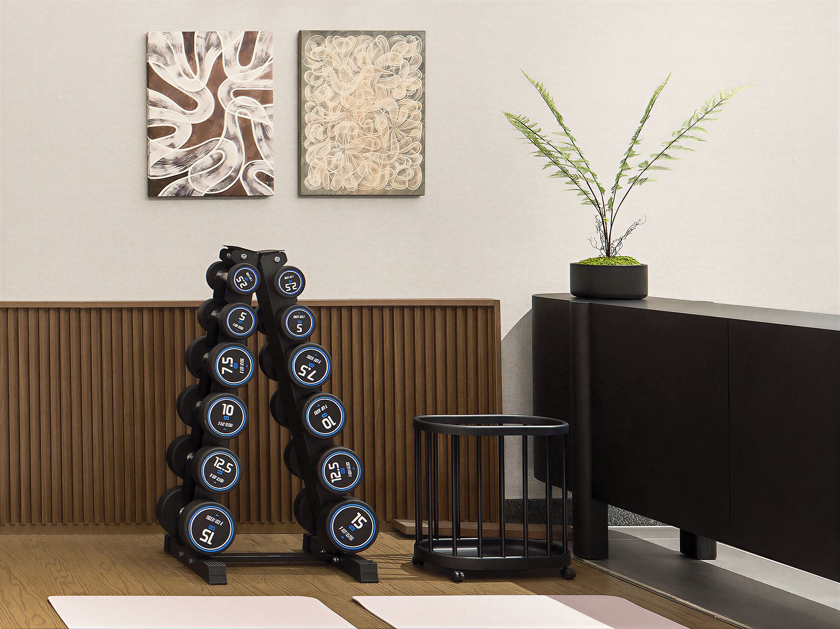 Une pièce moderne avec un porte-haltères fixé au mur, une petite plante en pot et deux tableaux abstraits.