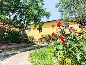 Property grounds - Apartment Iris by Interhome (Campiglia Marittima)