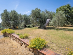 Un jardín ajardinado con olivos, un muro de piedra y plantas con flores amarillas.