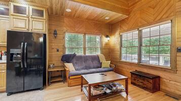 TV, fireplace, books