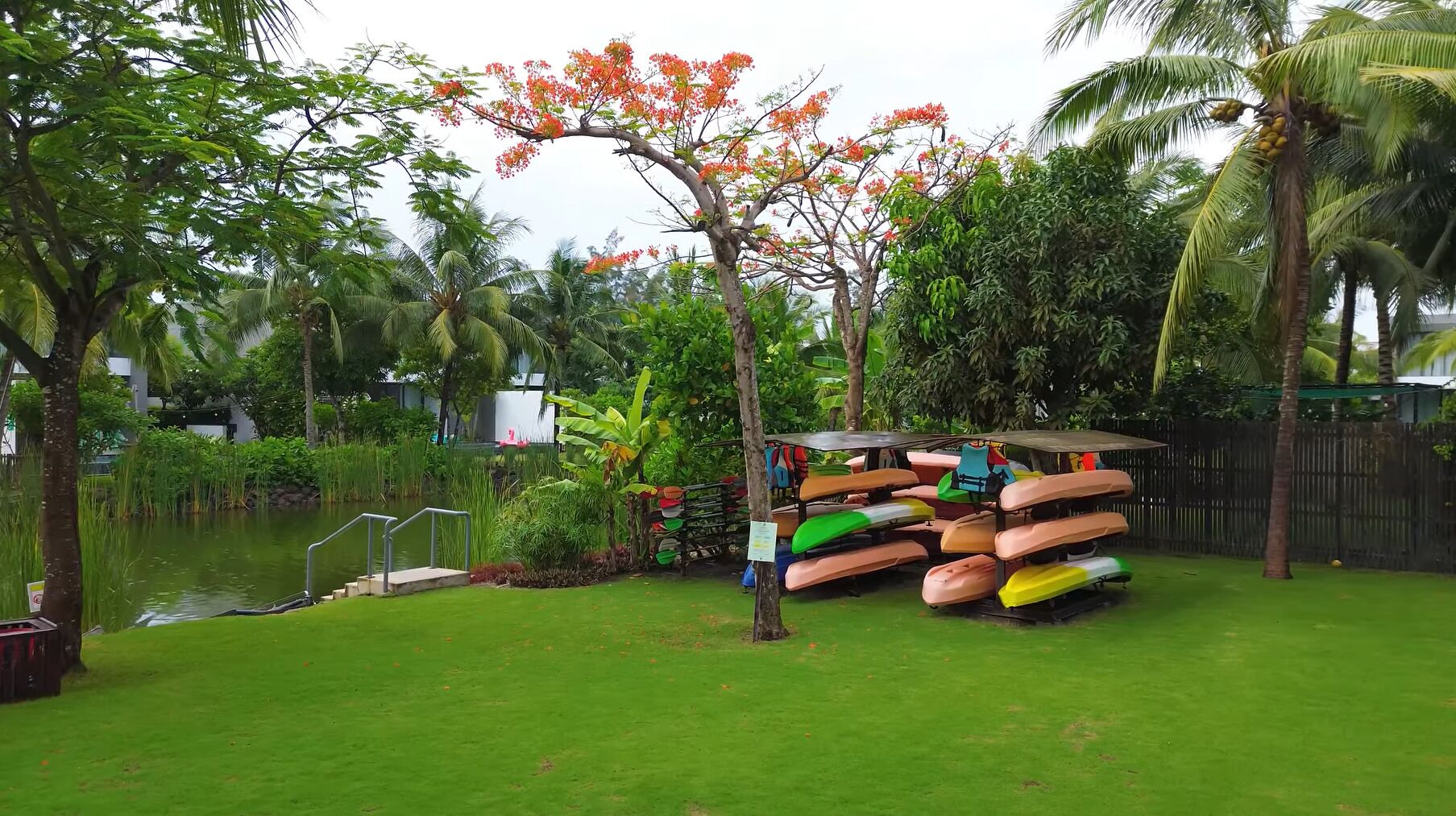 Un jardin luxuriant avec un étang, des palmiers et une pile de kayaks aux couleurs vives.