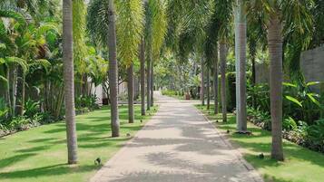 Property grounds