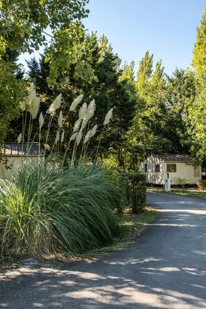 Property grounds - Cabane Pilotis 4 persons (ST MICHEL EN L HERM)