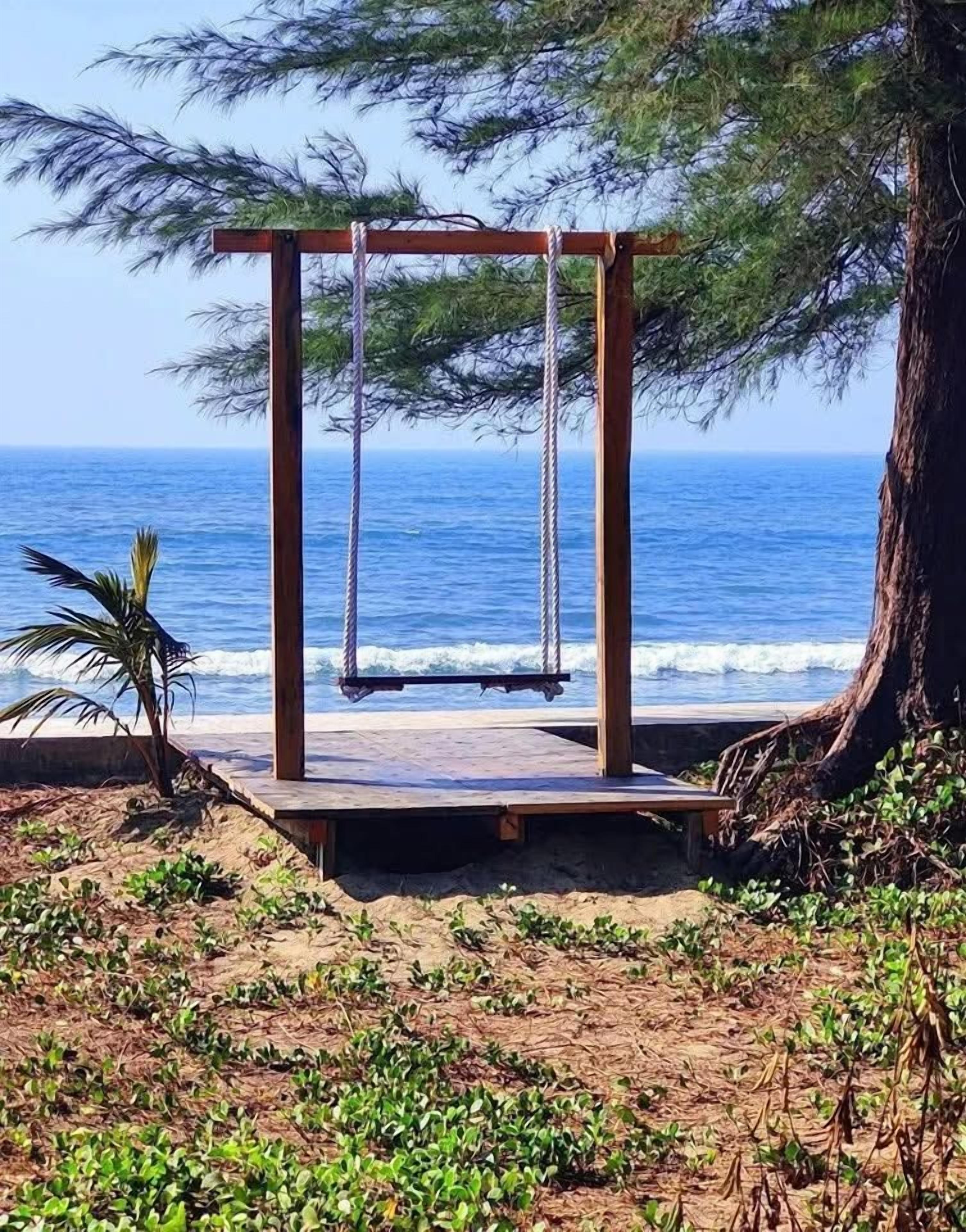Un columpio de madera con cuerdas, una palmera y vista al océano.