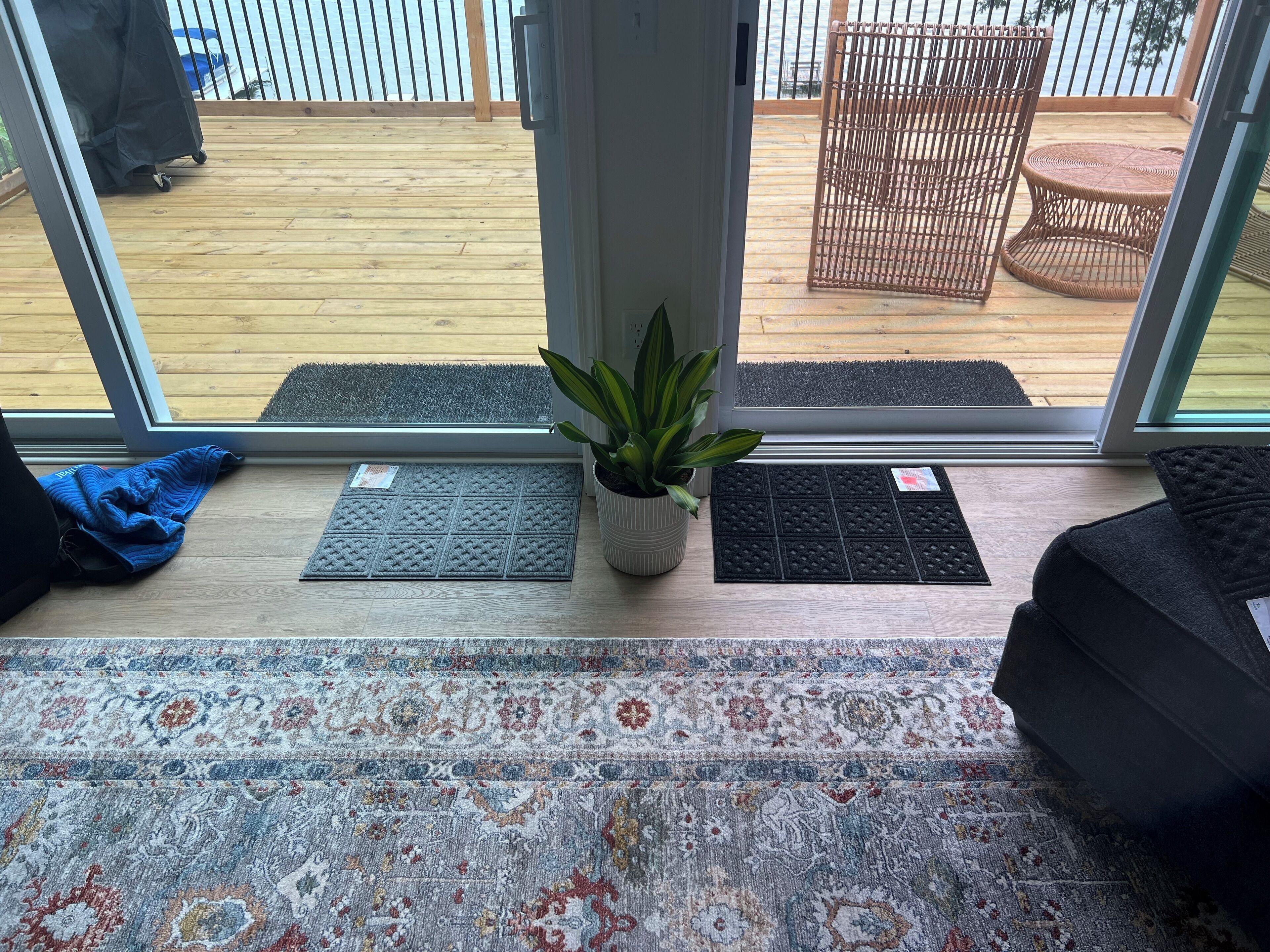 A room with a large window, a potted plant, a patterned rug, and a doormat.