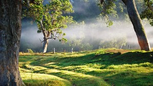A grassy field with trees and a fence in the background. - Ashmar offers  you a  true country lifestyle.. (Gloucester)
