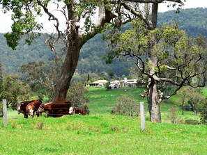 Miscellaneous - Ashmar offers  you a  true country lifestyle.. (Gloucester)