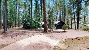 A forested area with a concrete path leading to a building marked 8175. - Hot Tub & Game Room! Pinetop 'Wild Horse Retreat' (Pinetop)