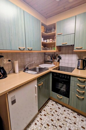 Fridge, dishwasher, cookware/dishes/utensils - Apartment Ember by Interhome (Fiesch)